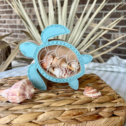 Turtle Seashell Shadow Box