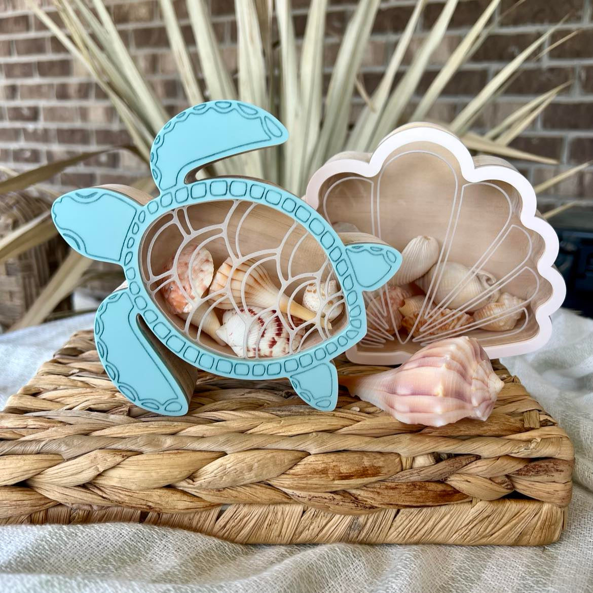 Scallop Seashell Shadow Box