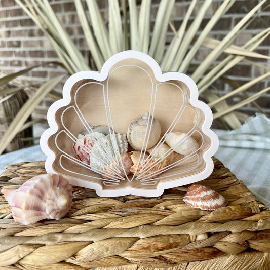 Scallop Seashell Shadow Box