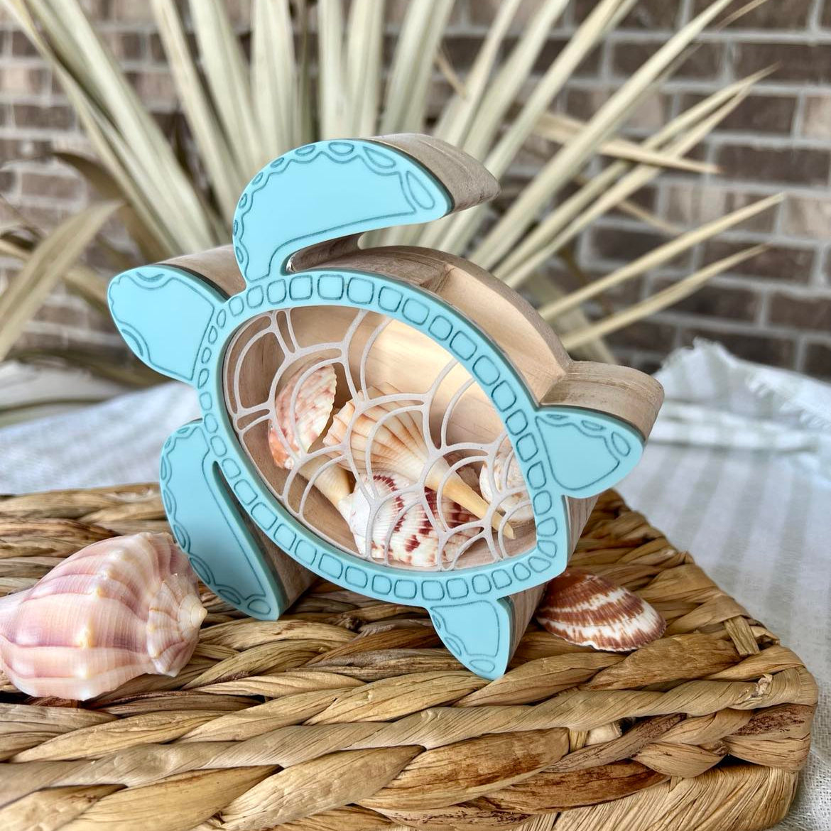 Turtle Seashell Shadow Box