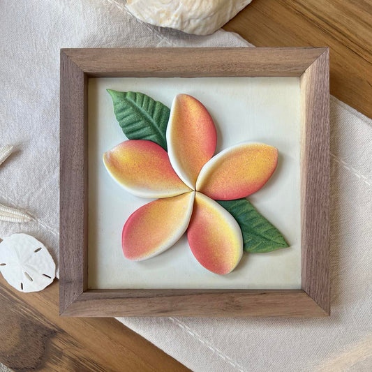 Pink and Yellow Plumeria