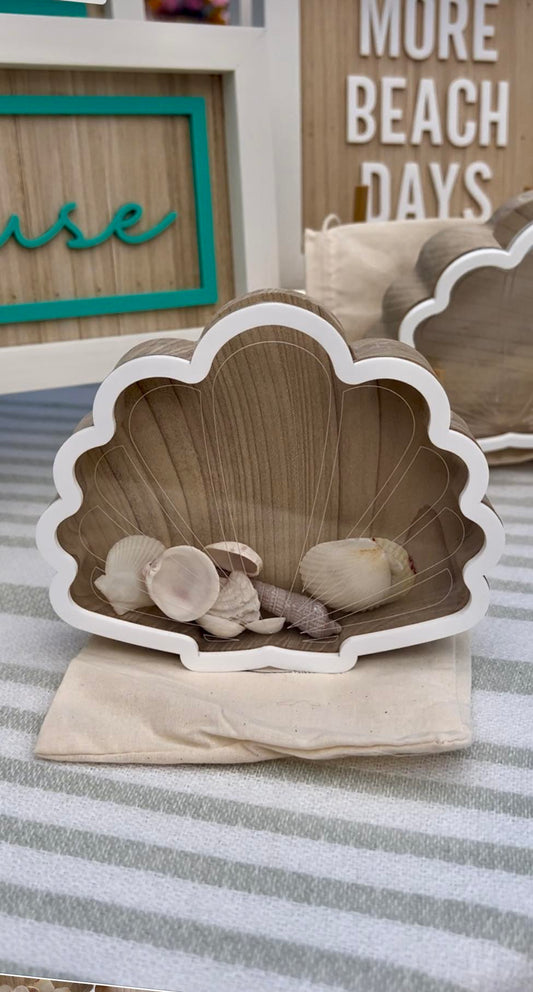 Seashell Display Box