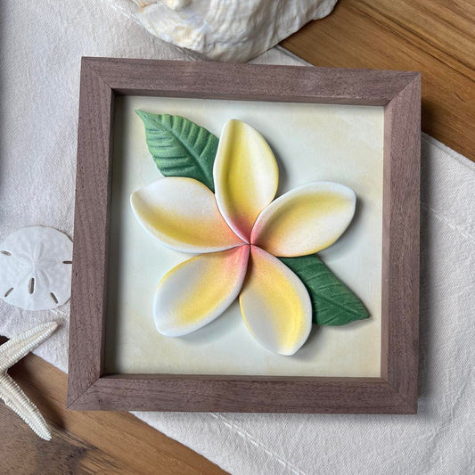 White and Yellow Plumeria