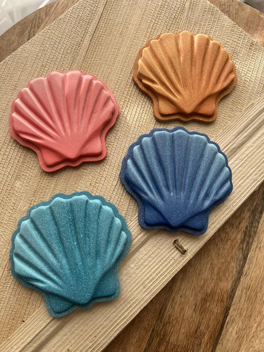 Shell Magnet