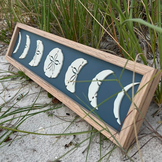 Sand Dollar Moon Phase